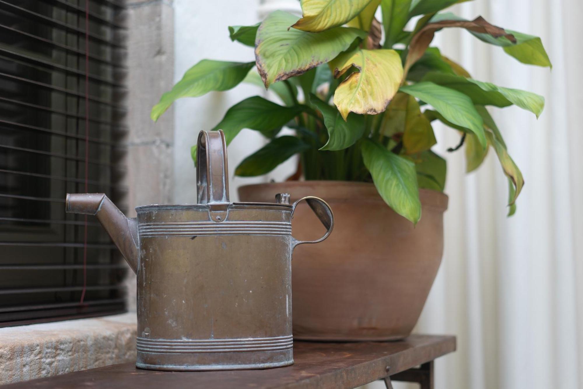 Boath House Hotel ネアン 部屋 写真